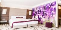 4* Ambient AromaSpa Wellness Hotel Sikonda Levendula szobája